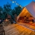 Glamping in Florida link image